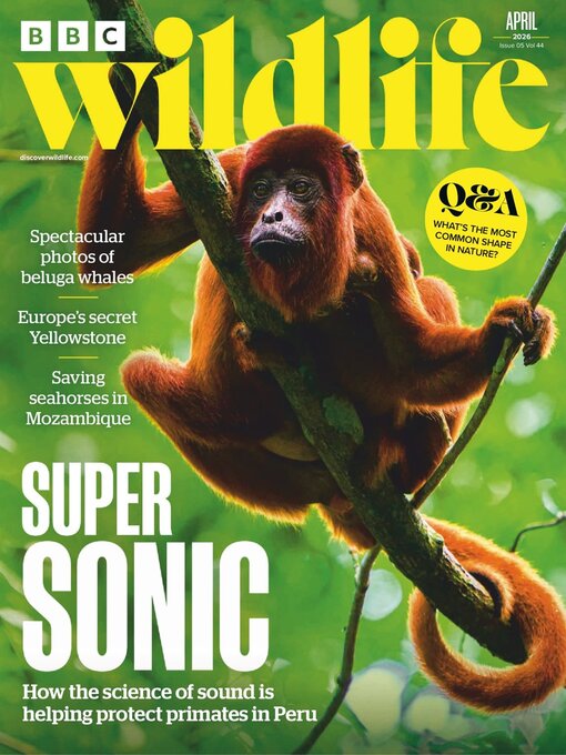 Title details for BBC Wildlife Magazine by Our Media Limited - Available